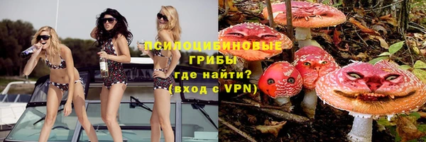 соль ск Алзамай
