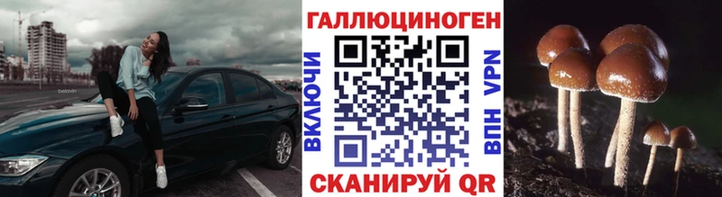 Галлюциногенные грибы Psilocybe  магазин продажи   Бакал 